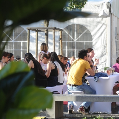 Hays Sommerfest D-A-CH-DK Region in Mannheim