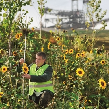 Rekultivierung ist uns wichtig