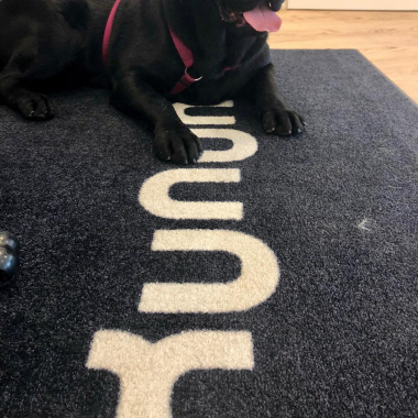 Unser Feelgood Manager Gendry bei der Arbeit.