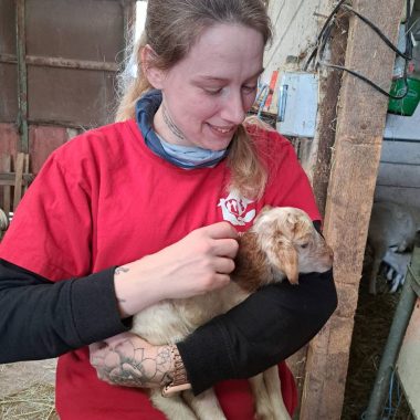 Agentur für Haushaltshilfe