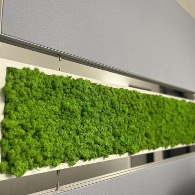 Grüner Schallschutz in Büros