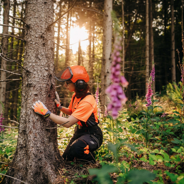Wir pflegen Heidelbergs Wälder und Parks und tragen dazu bei, Natur und Lebensqualität für kommende Generationen zu bewahren.