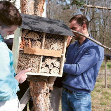 Mit unseren Lernenden arbeiten wir an Projekten, die über die reguläre Ausbildung hinausgehen. Ein Beispiel: Bienen- und Insektenhotels bauen und damit die Artenvielfalt unterstützen.
