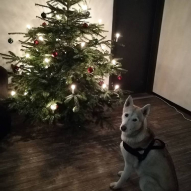 Unsere Feel-good Managerin Taco