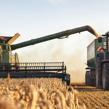 Aktiv in Land- & Forstwirtschaft