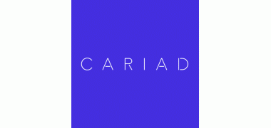 CARIAD SE