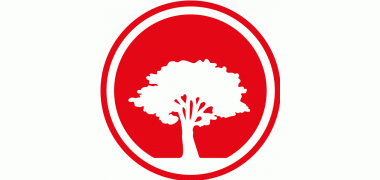 Red Oak Consulting & Services for IT
