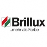 Brillux, Karriere Team