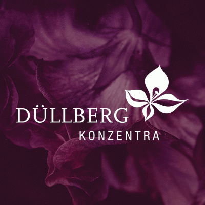 Düllberg Konzentra GmbH & Co. KG