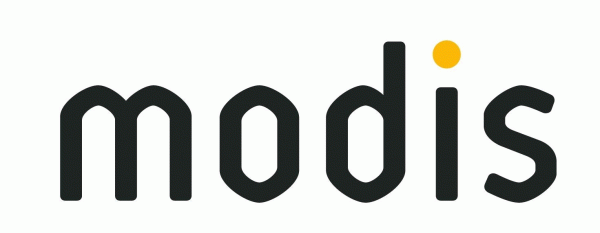 Modis Deutschland Gehalt Das Verdienen Mitarbeiter Kununu