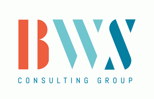 BWS Consulting Group GmbH Logo