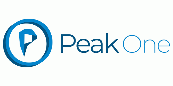 Peak One GmbH Logo