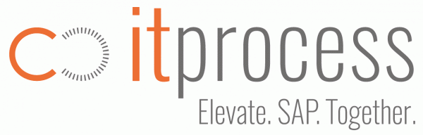 itprocess GmbH Logo