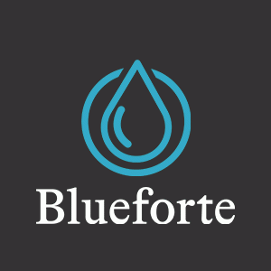blueforte GmbH Logo