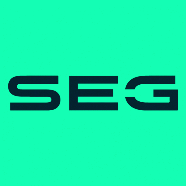 SEG Electronics GmbH