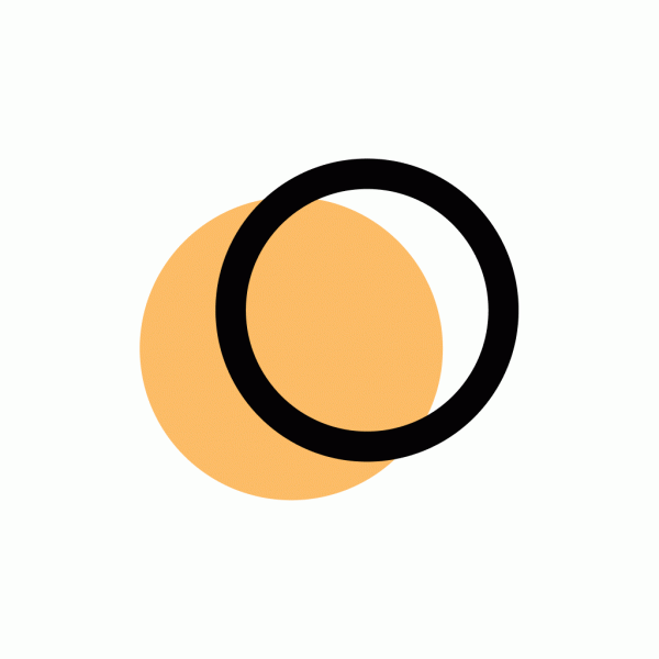 LichtBlick SE Logo