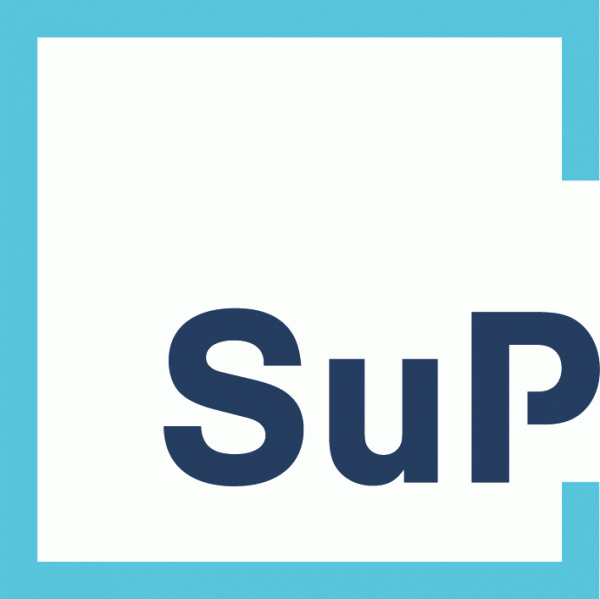 Dr. Schmidt und Partner Logo