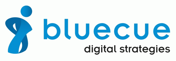 bluecue consulting GmbH & Co. KG logo