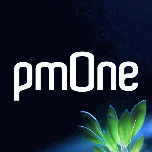 pmOne Group (Deutschland) Logo