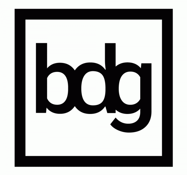 bdg | better decisions group Logo