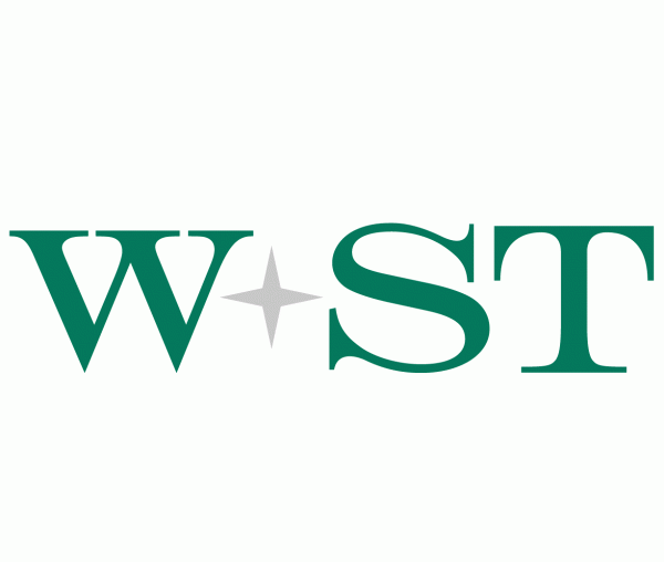 W+ST Wirtschaftsprüfung AG & Co. KG Wirtschaftsprüfungsgesellschaft