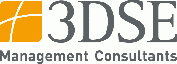 3DSE Management Consultants GmbH Logo