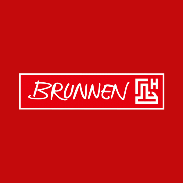 Baier & Schneider GmbH & Co. KG logo