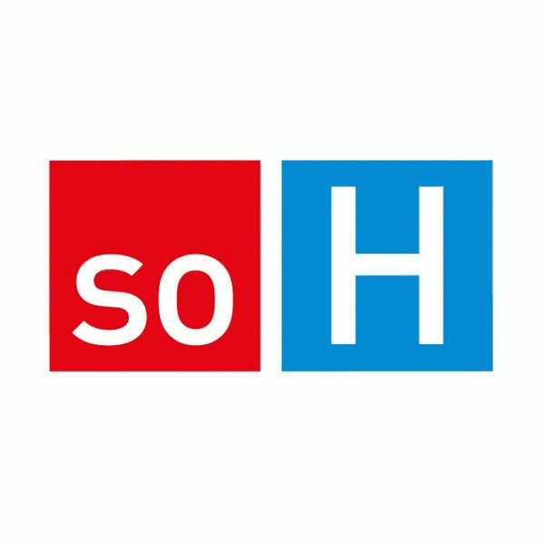 Solothurner Spitäler AG (soH)