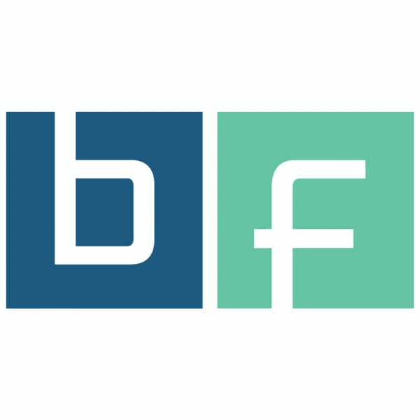 Bockermann Fritze IngenieurConsult GmbH Logo