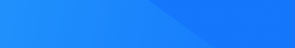 Netizer Logo