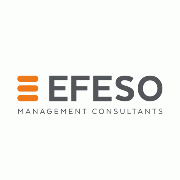 EFESO Management Consultants logo